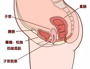 你不主动修复它,未来几十年,它都会伤害你