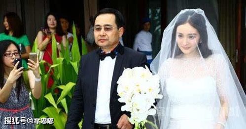 杨幂为什么离婚 杨幂为什么离得婚