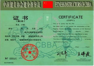 中国营养健康顾问证书查询,寻找营养健康顾问证书的必要性