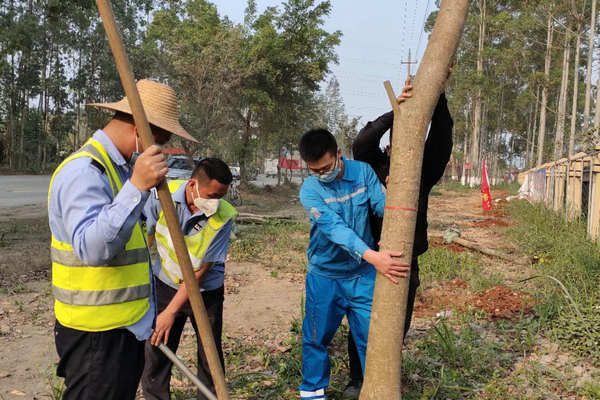 兴业海螺积极组织开展植树活动