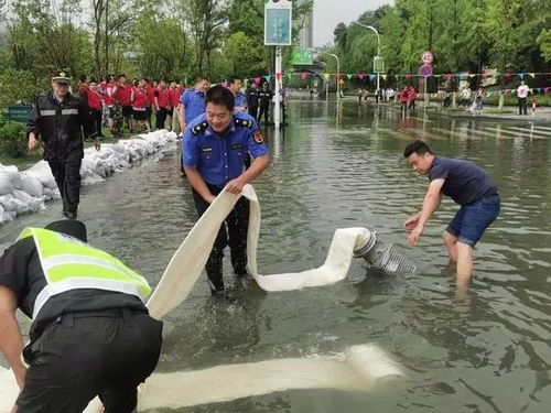 杭州发布洪水黄色预警 洪峰预计明早6点抵达闸口站