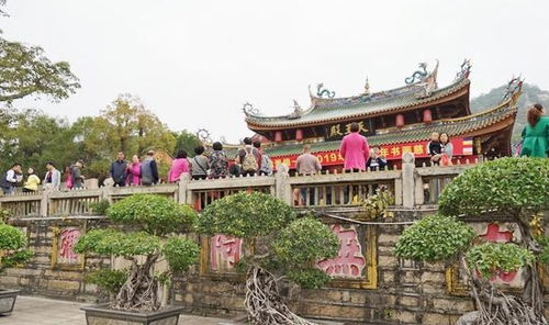 福建厦门 最良心 寺庙,上香免费 门票免费,是游客必去的景点