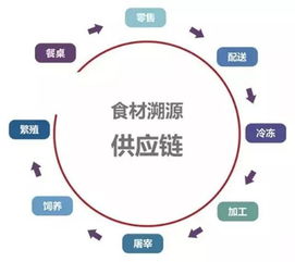 天天3.15为舌尖美味和健康美食保驾护航是蒸汽主题餐厅的天然选择 