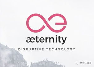  aeternity与以太坊,目前公链的优势有哪些？ 快讯