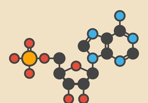 高中生物 必考知识点之生物的呼吸作用,给孩子收藏起来吧