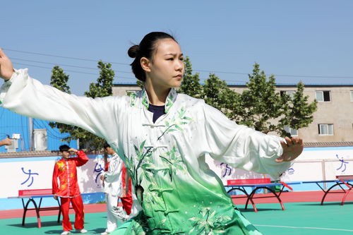 漯河体育运动学校是初中还是高中