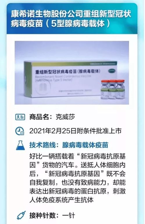 腺病毒载体疫苗现在安全吗真的能用到人身上吗(腺病毒载体疫苗的作用机理)