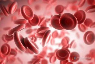 移植骨髓造血干细胞或可导致血型改变