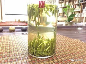 白茶女和绿茶女有什么区别,绿茶 与 白茶，其功效有何不同？?