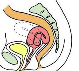 女性阴道健康的重要性