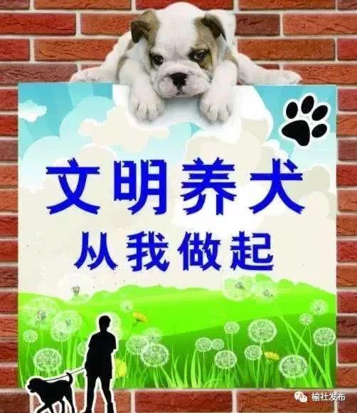 榆社 关于依法养犬 文明养犬的通告