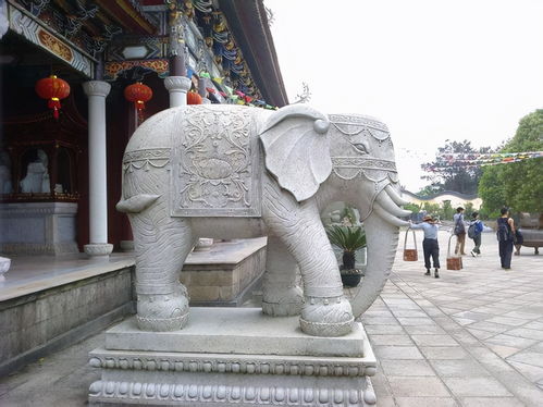 福建惠安石雕大象该如何才能走得更远