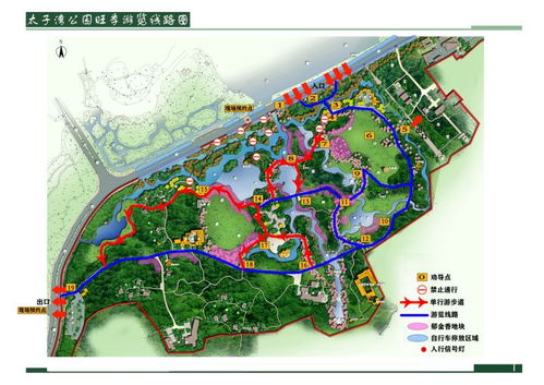 太子湾公园预约,2022杭州西湖太子湾公园要门票吗-第3张图片