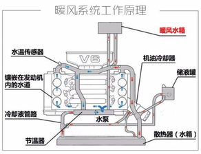 冷车着车后温度起来了就是没暖风是怎么回事 