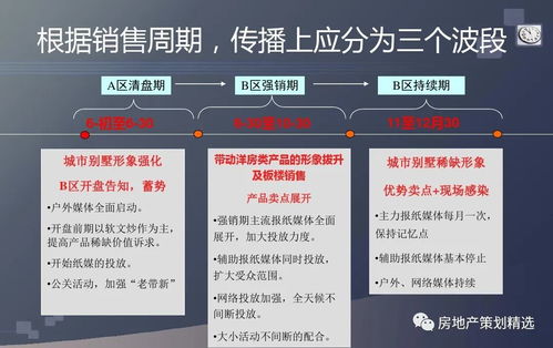 策划 房地产项目广告传播策划的方案PPT