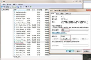 DHCP被禁用怎么办