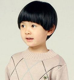 6岁帅男孩蘑菇头短发 6到8岁小男孩的发型