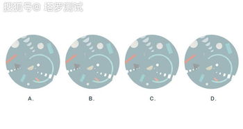 塔罗牌占卜 测你抽张牌迎接下半年人生的转折点,相信自己的选择