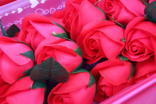 19朵玫瑰花语句,玫瑰花19朵的花语