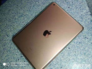 iPad Pro经常死机怎么解决