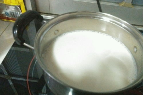 酸奶机制作酸奶？用酸奶机做酸奶,纯牛奶和酸奶的比例是多少