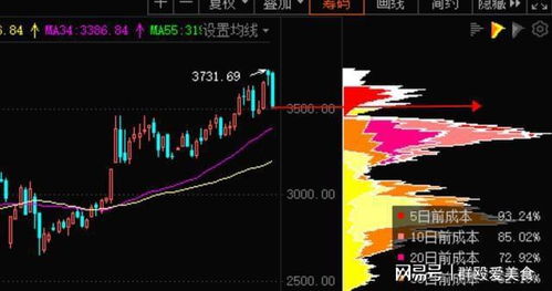  rndr币未来展望分析,数字货币未来的发展趋势会是怎样呢？会有多少种不同的趋势走向呢？ USDT行情