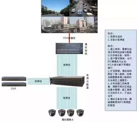 桂圆怎么种植方法视频,准备步骤