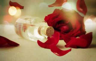 玫瑰精油的功效与作用及使用方法,玫瑰精油的正确使用方法，急~~？