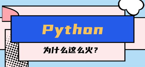 Python为什么那么火