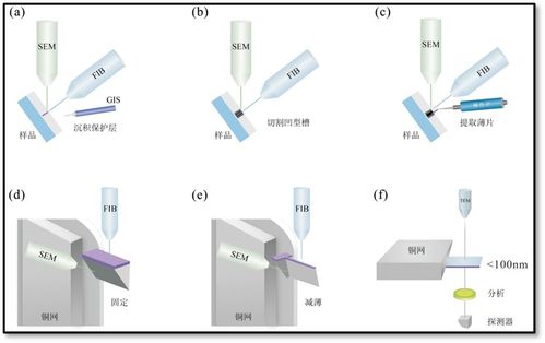 FIB TEM进行微纳加工和原位研究分析 