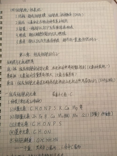 吧字组词