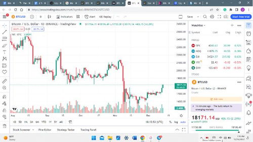 比特币最新预测分析师,这是什么币？