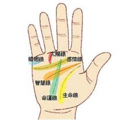 手相 非常运势算命网,算命最准的网站 