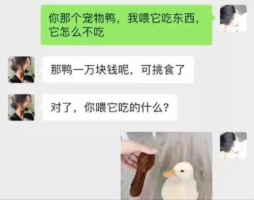 今日一笑 我喂鸭子吃的它怎么不吃啊