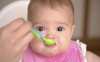 刚出生的婴儿多久才能吃辅食,宝宝多久能吃辅食