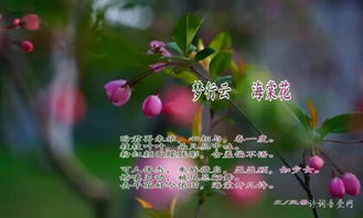 关于海棠花的景观诗句