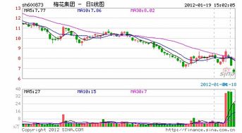 为什么梅花集团停牌没有公告？