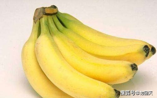 为什么烟熏香蕉能促进成熟