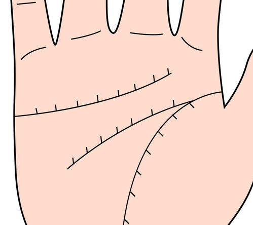 手相 手掌三条线,关系你的一生,你了解吗