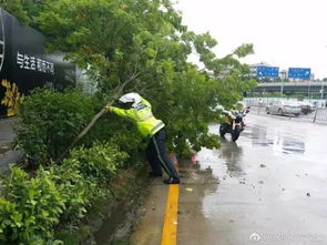 号外 周润发冒台风砍树清路被 活捉 ,还有这些 没名字 的身影更让人暖哭 