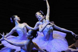 上海舞蹈学校民间舞,民间舞蹈专业课程的设置