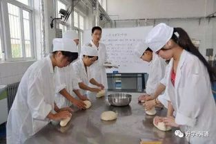 食品专业毕业后都干什么，食品科学与工程就业前景