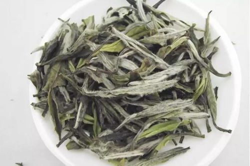 安吉白茶是真的白茶吗,如何鉴别安吉白茶