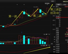 现在有许多股票群和房间都免费讲股票知识，推荐股票，有谁知道他们的目的是什么。