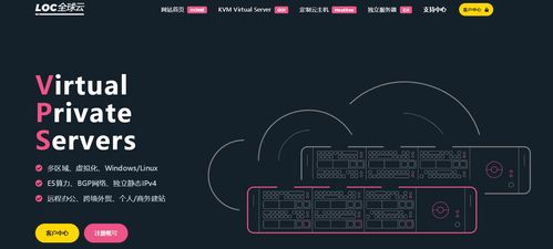 locvps,LOCVPS——专业可靠的VPS主机服务商