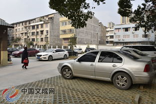 东莞市常平免费停车位有哪些(凤岗五联村免费停车场有哪些)