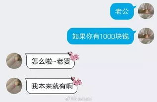 如果你有1000块钱 反应 