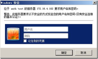 配置虚拟主机可以缩短访问等待时间提高访问速度(虚拟主机不限速度)