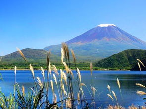 富士山什么意思(日本富岳服务器图片)