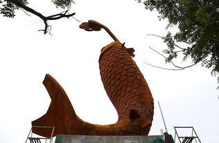 郑州一巨型鲤鱼雕塑亮相街头 高22米重达22吨 